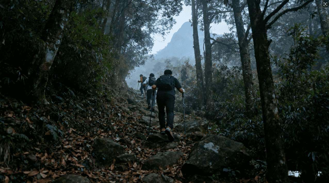 小白鲸加速器免费下载与安装指南适用于iOS设备